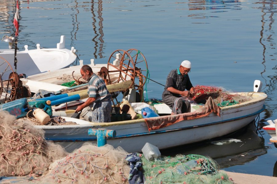 Le port de Saïda Philippe GUERSAN - Author's Image