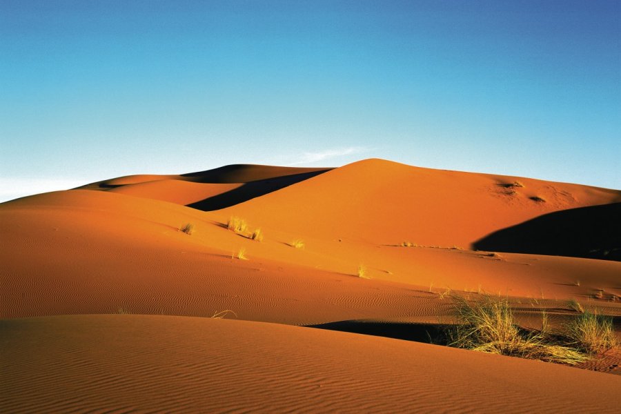 Les dunes de Merzouga. Author's Image