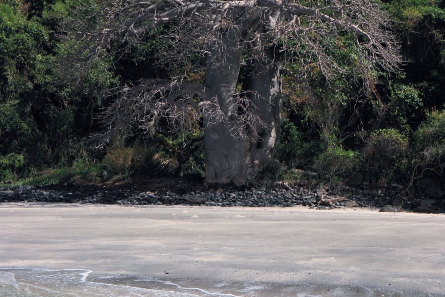 Îlots et baobabs... des petits coins de paradis ! Stéphan SZEREMETA