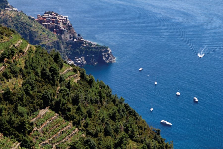 La côte de Corniglia. Nut1968  - iStockphoto