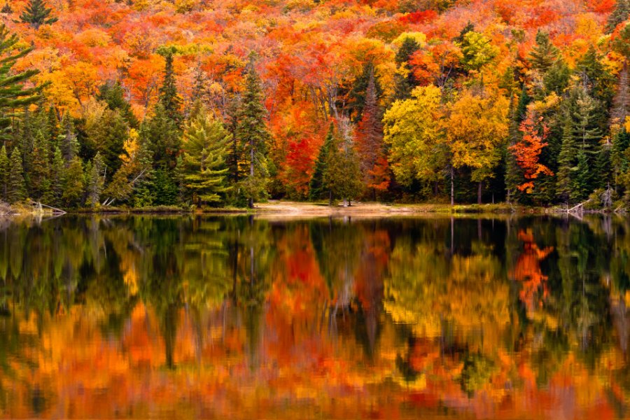 Canisbay Lake, parc provincial Algonquin. James William Smith - Shutterstock.com