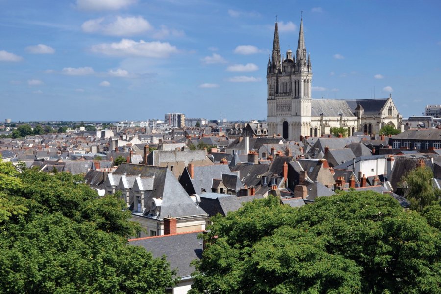 Cathédrale Saint-Maurice d'Angers. Musat - iStockphoto