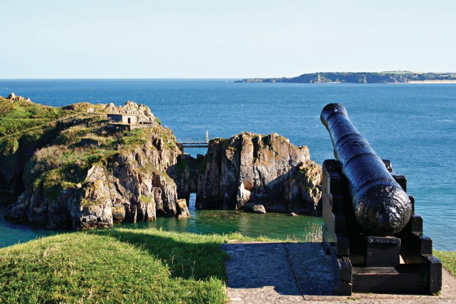 Vue sur Caldey Island depuis Tenby Louis16 - iStockphoto.com