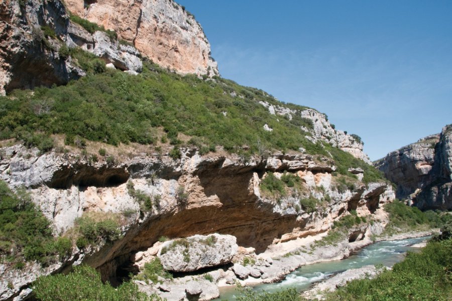 Foz de Lumbier. Alce - Fotolia