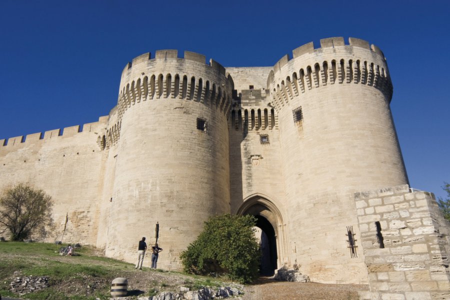 Le fort Saint-André à Villeneuve-lès-Avignon (© Olivier Tuffé - Fotolia))