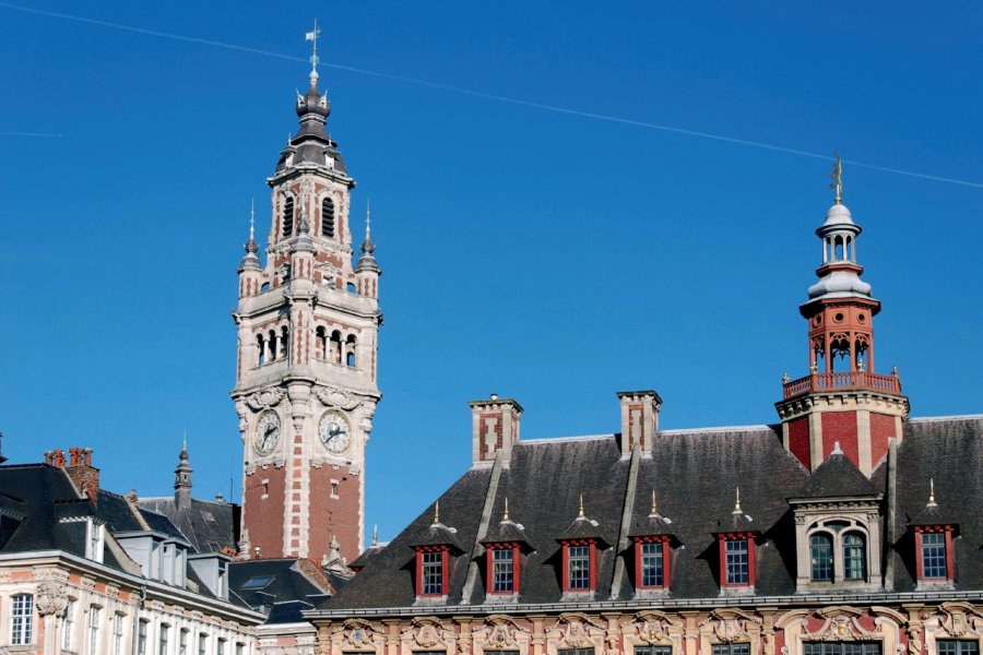 Le beffroi de la Chambre de Commerce et la Vieille Bourse de Lille DIDIER.VAN-DER-HAEGHEN - XILOPIX