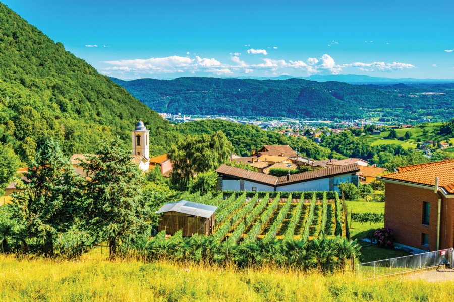 Mendrisio et ses vignes. trabantos - iStockphoto.com