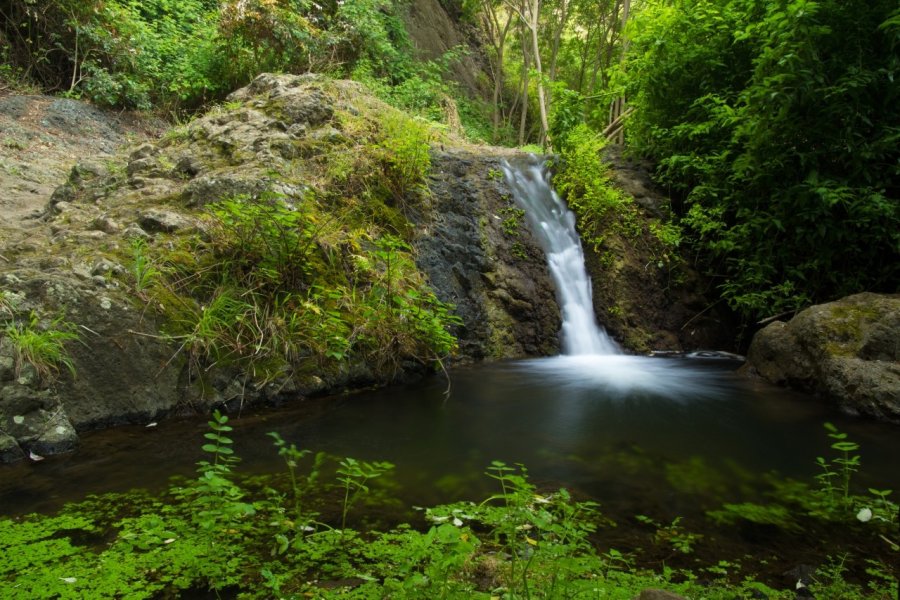 Petite cascade, réserve naturelle de Barranco de Azuaje entre Moya et Firgas. (© Tamara Kulikova - Shutterstock.com))