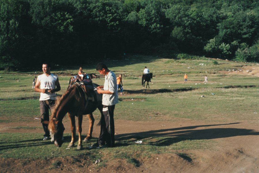 Parc national de Dajti, près de Tirana. Julie Briard