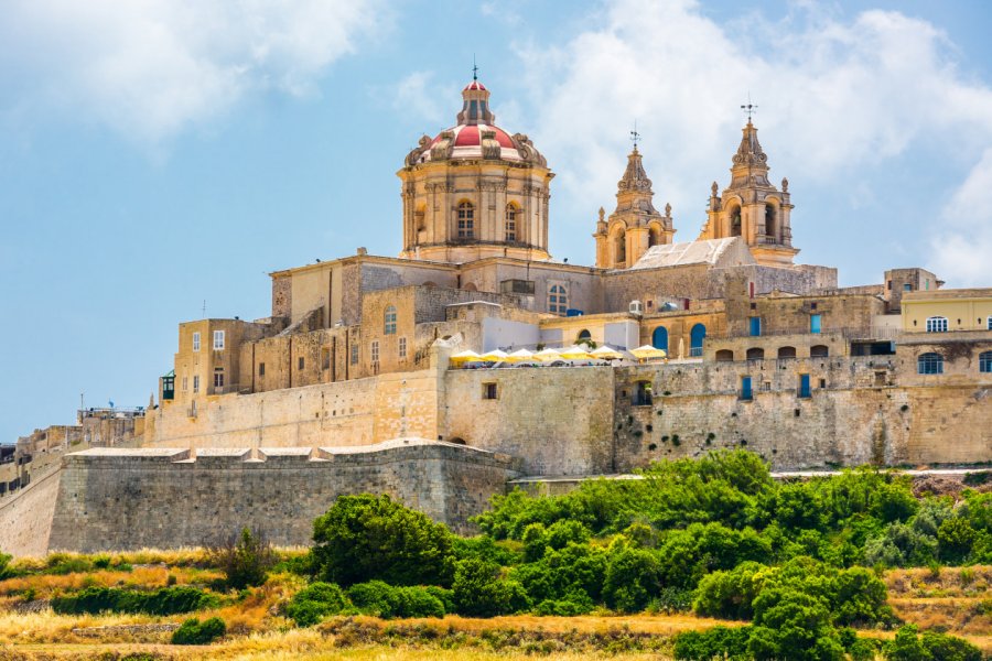 Vue panoramique sur la forteresse de Mdina. In Green - Shutterstock.com