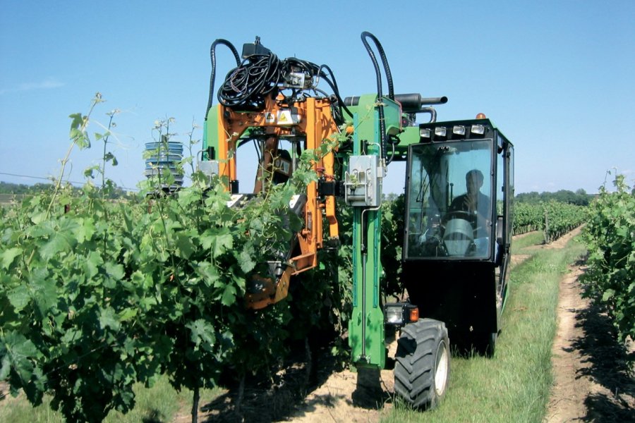 Château Auzias (machine à relever les fils). (© Dominique Auzias))