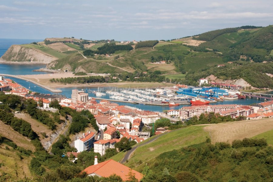 Zumaia. Alce - Fotolia