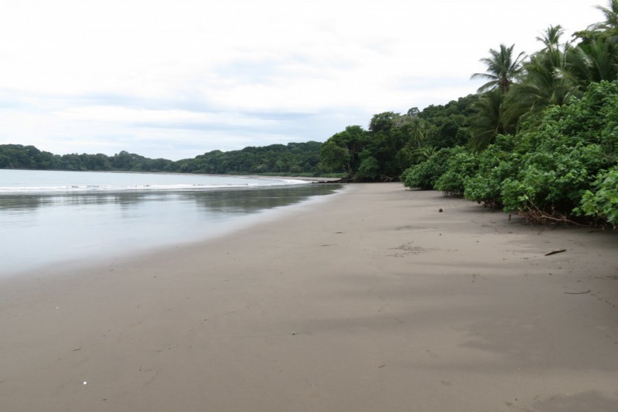 Isla Palenque