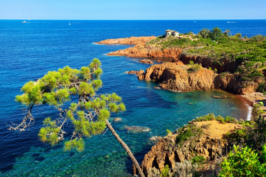 Esterel. StevanZZ - shutterstock.com