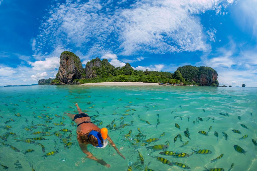 Femme faisant de la plongée en apnée à Poda Beach à Krabi. Netfalls Remy Musser - Shutterstock.com