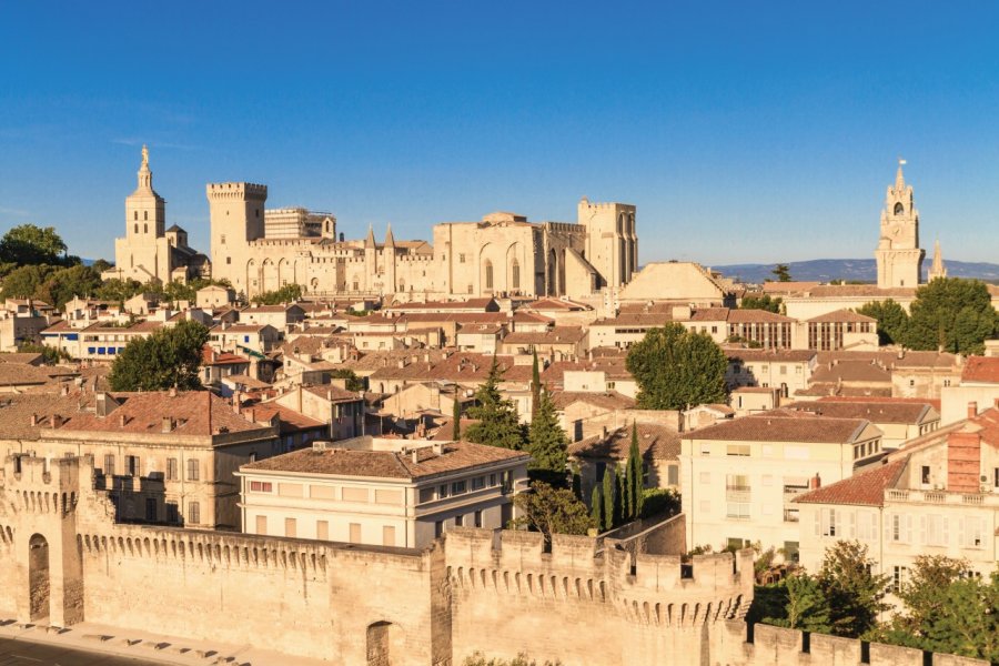 Avignon et son Palais des Papes. Bertl123 - iStockphoto