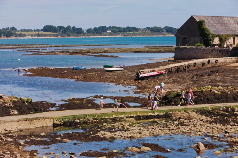 L'île de Berder. Irène Alastruey - Author's Image