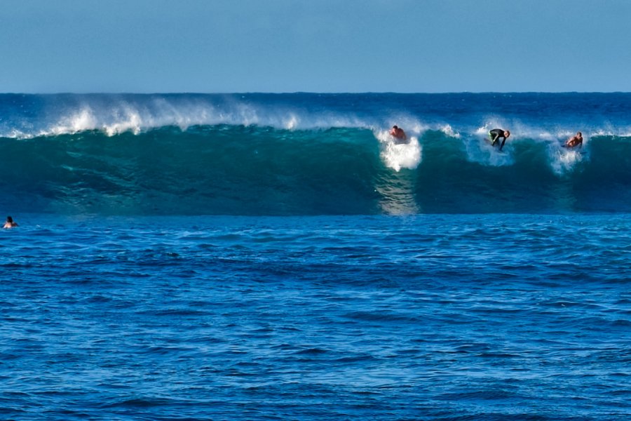 Surfers à Manati. Cesar Zapata-Lozada - Shutterstock.com