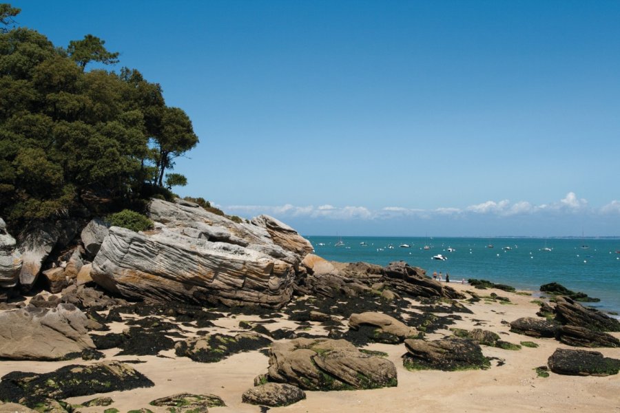 Côte rocheuse sur l'île de Noirmoutier (© OLIVIER GUERIN - FOTOLIA))
