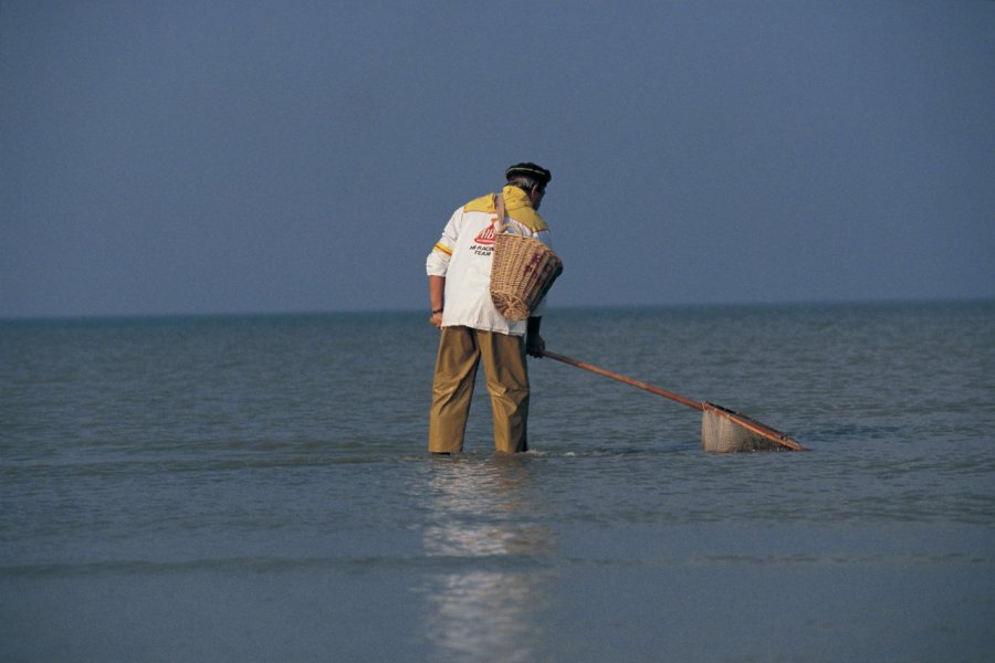 Pêche à la crevette Arthur LEROY - Iconotec