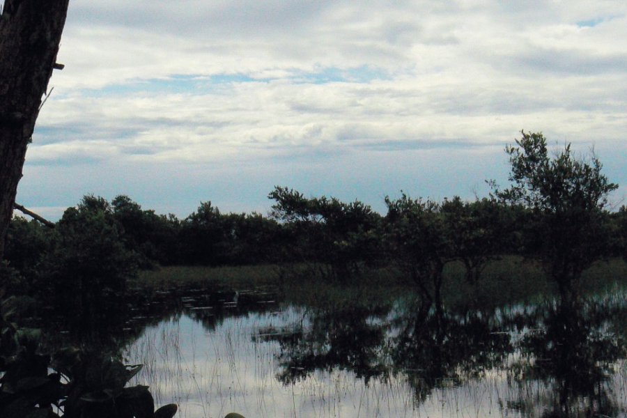 Lagune d'Iguéla. (© Bernadette VOISIN))
