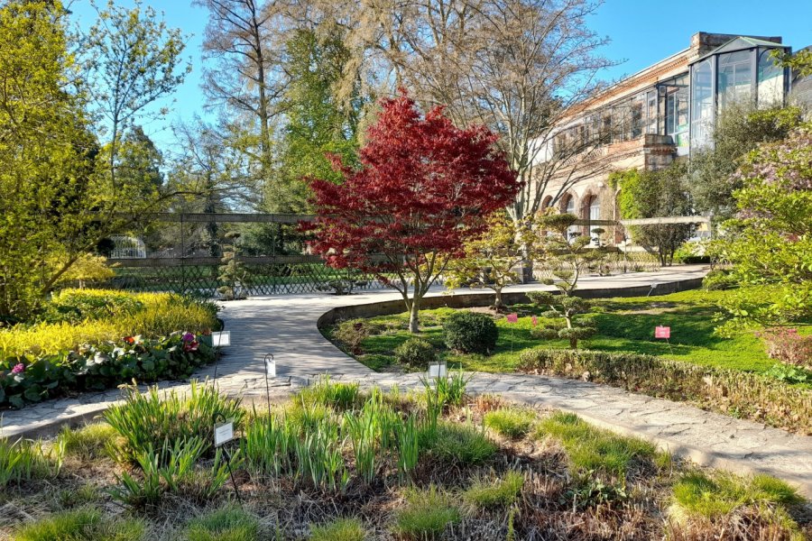 Jardin botanique de Tours. Alexandre BLOND