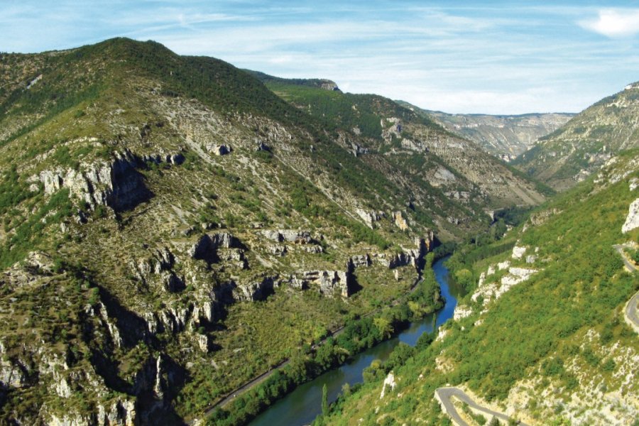 Les gorges du Tarn MACUMAZAHN - FOTOLIA