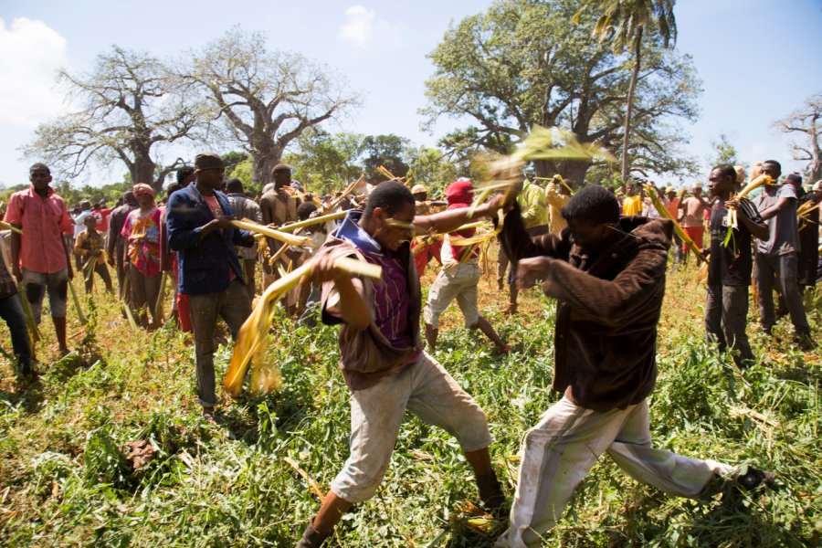 Mwaka kogwa. Robin Batista - Shutterstock.com