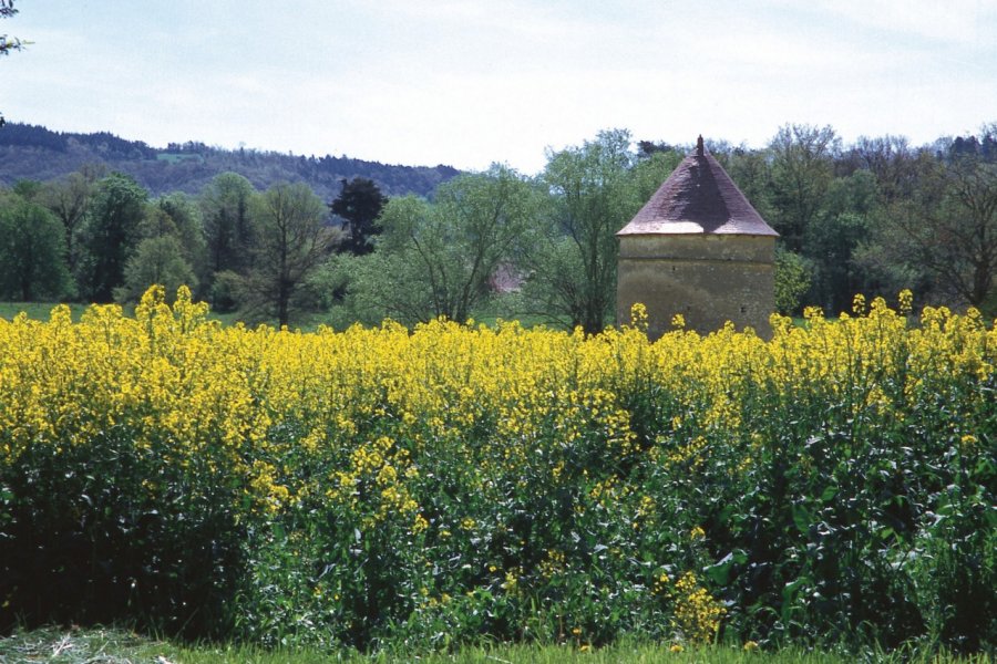 Pigeonnier - Ebreuil (© PHOVOIR))