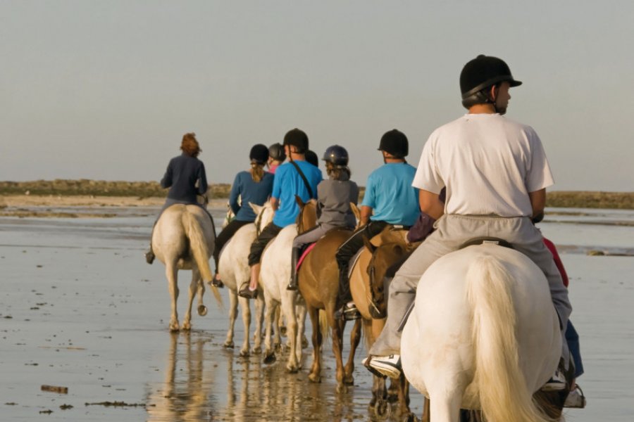 Cavaliers à Mers-les-Bains (© Alonbou - Fotolia))