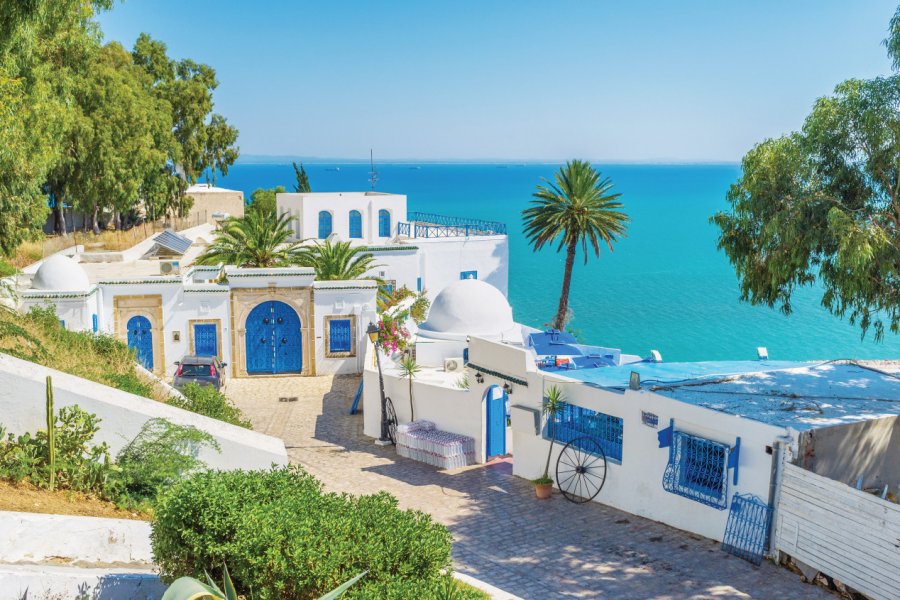 Sidi Bou Saïd. efesenko - iStockphoto.com