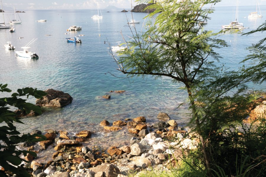 Le paysage change parfois de la plage à des abords plus sauvages. Magali Couaillet