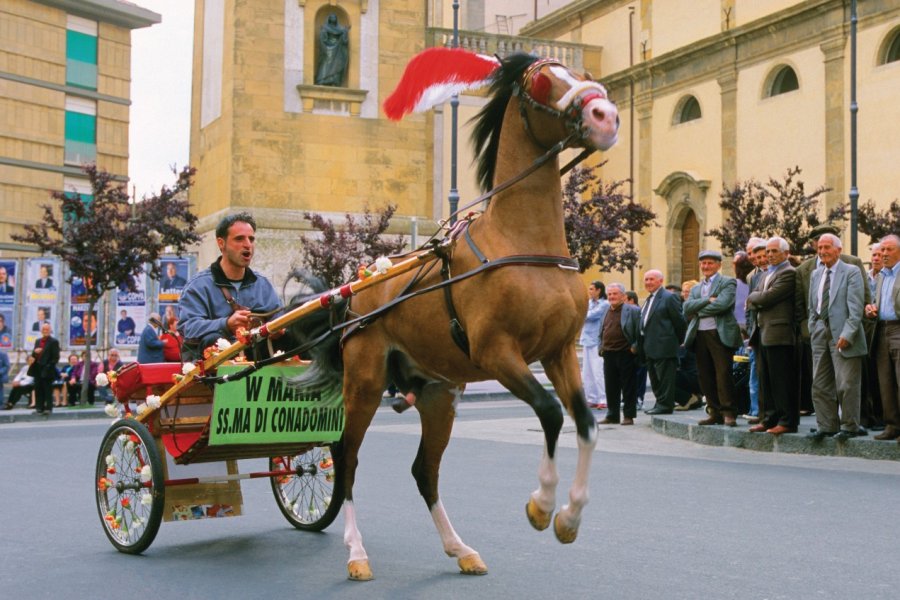 Fête de la vierge à Caltagirone. Author's Image