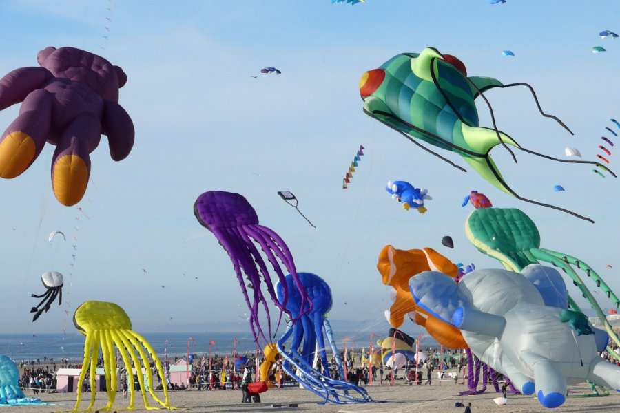 Festival des cerfs volants en Côte d'Opale. Terre de Sienne - FOTOLIA