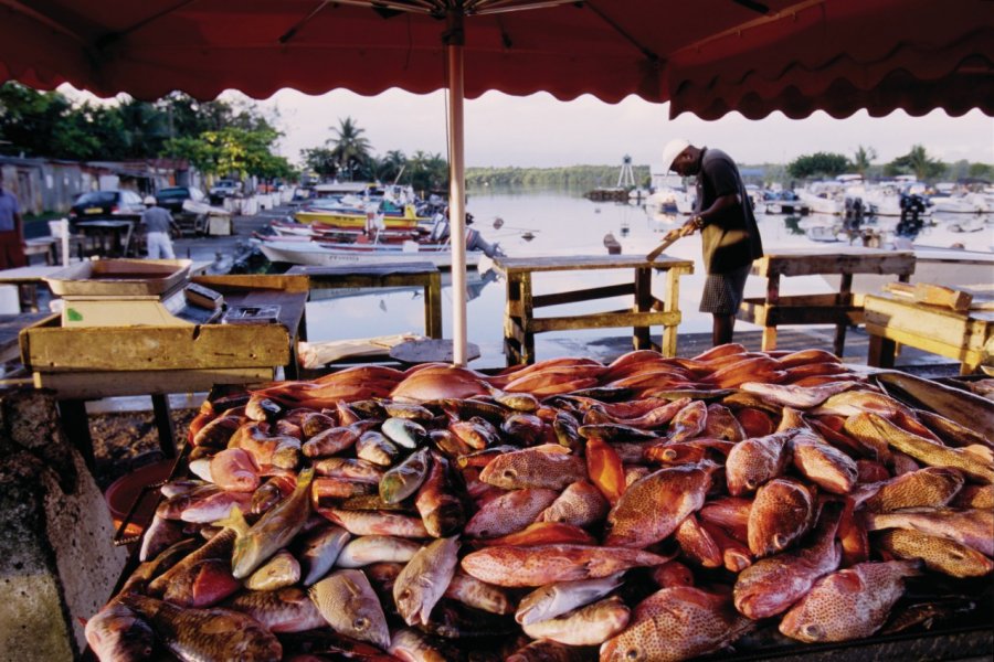 Port de pêche de Pointe-à-Pître. (© Vincent FORMICA))