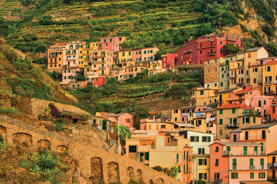 Manarola, petite ville de la province de La Spezia. JanMiko - iStockphoto