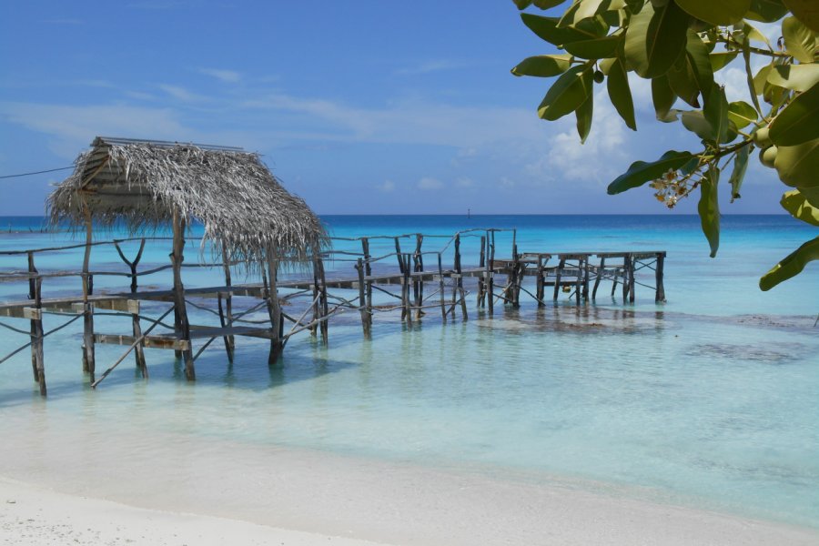 Plage idyllique de Fakarava Roxane LAMOUILLE
