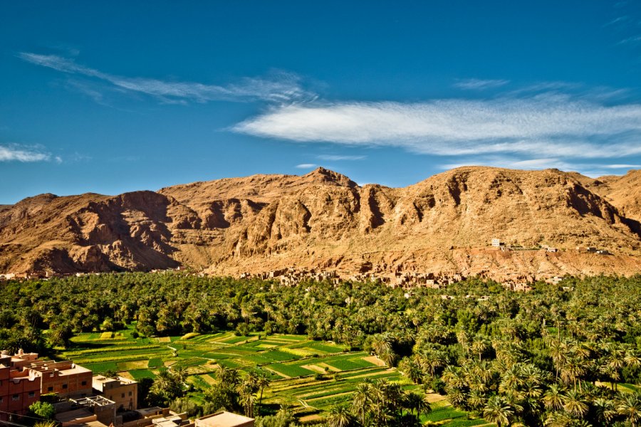 oasis de tineghir dans les Gorges du Todra. streetflash - Shutterstock.com