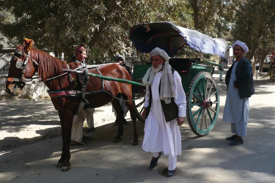 Carriole à cheval, le taxi de Balkh. Constance de Bonnaventure