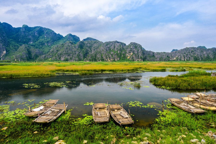 Réserve naturelle du Vân Long. Leotie - Shutterstock.com