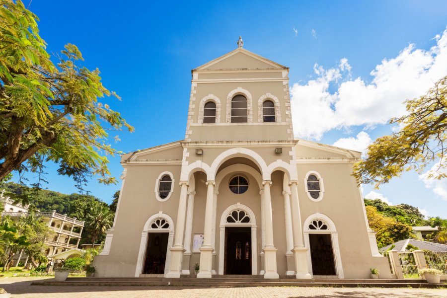 Cathédrale de l'Immaculée-conception de Victoria. 18042011 - Shutterstock.com