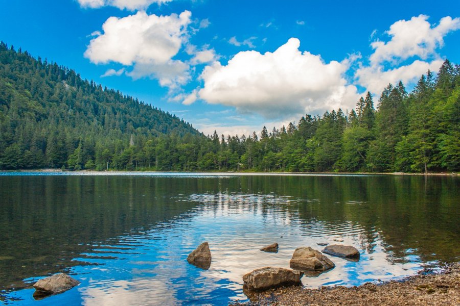 Le lac Feldsee près de Feldberg. Willequet Manuel - Shutterstock.com