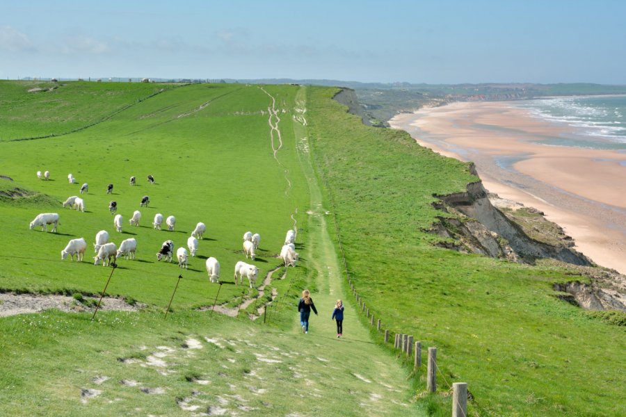 Promenade sur le sentier des falaises, entre le cap Blanc-Nez et Wissant. aquaphoto - stock.adobe.com