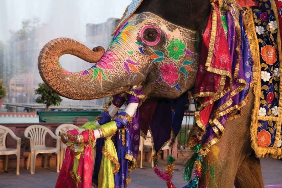 Gangaur festival de Jaipur. OSTILL - iStockphoto