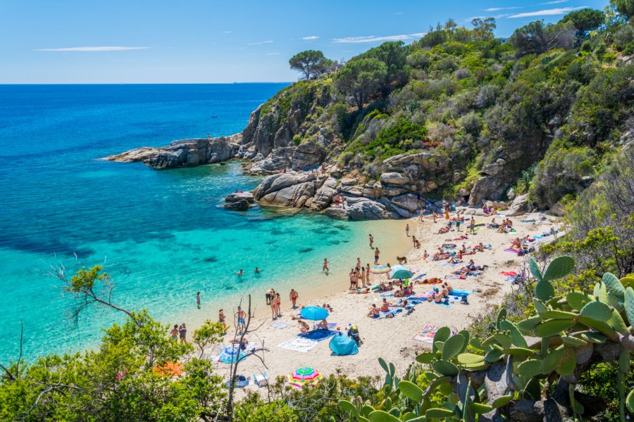 Vue panoramique de la plage de Cavoli. Stefano_Valeri - Shutterstock.com