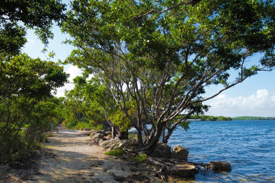 Biscayne National Park. Rudy Umans - Shutterstock.com