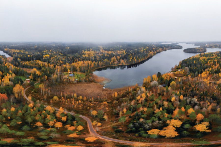 Les forêts de Kouvola un jour d'automne ElenaNoeva