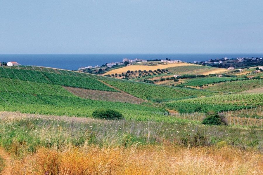 Campagne autour de Castellammare del golfo. Author's Image