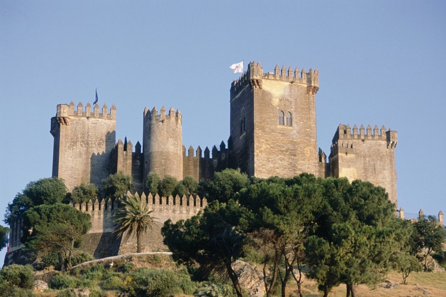 Château d'Almodóvar del Río. Maria D'Amore - Iconotec