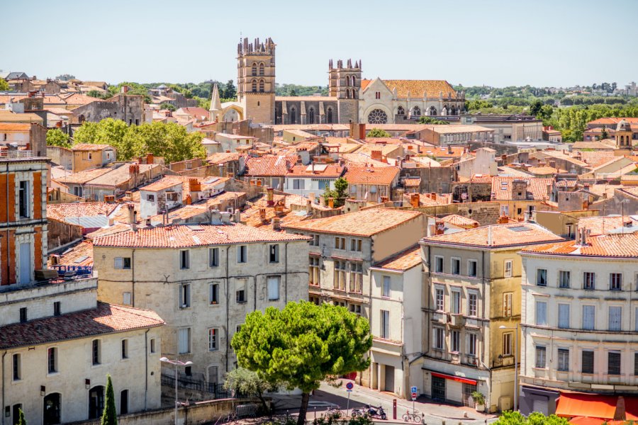 Vue sur les toits de Montpellier. RossHelen - Shutterstock.com